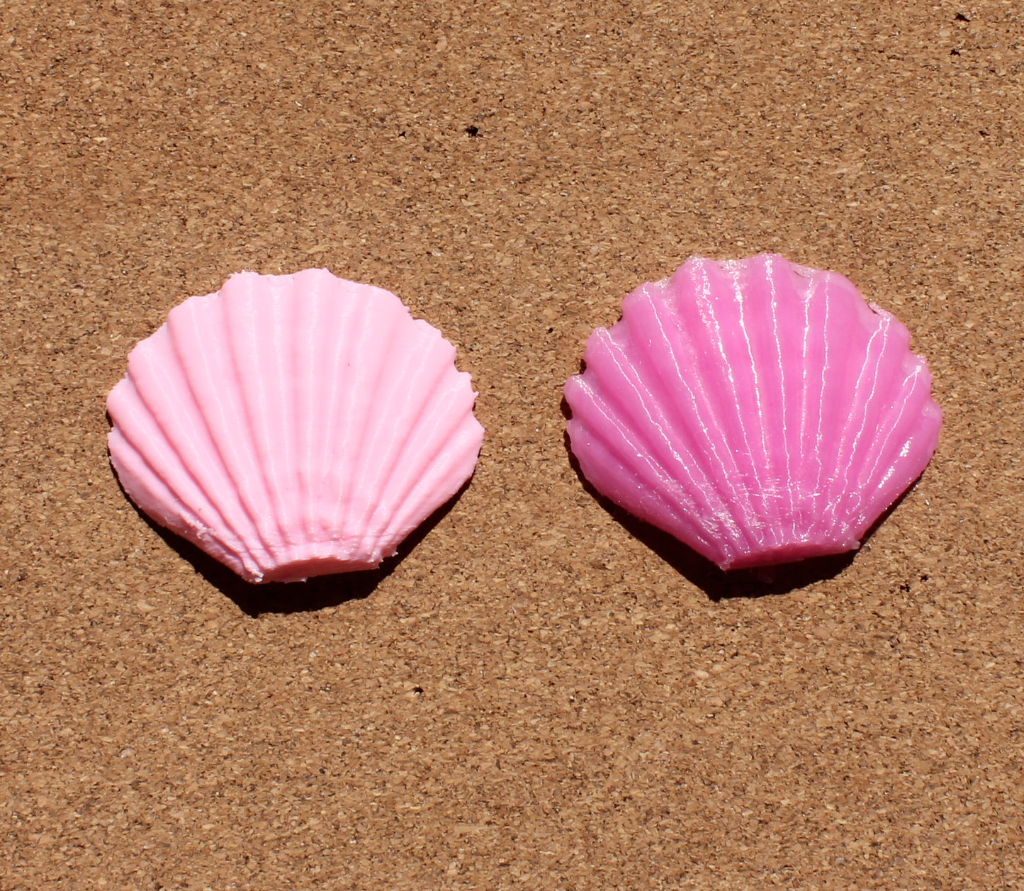 Seashell pin